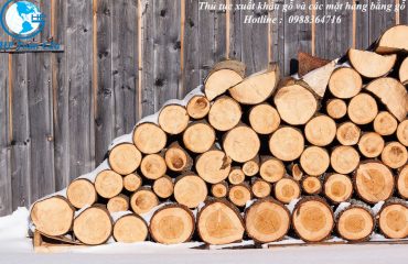 Thuế xuất khẩu gỗ và các mặt hàng bằng gỗ