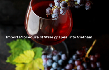 Import Procedure of Wine grapes into Vietnam