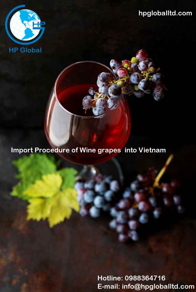 Import Procedure of Wine grapes into Vietnam 