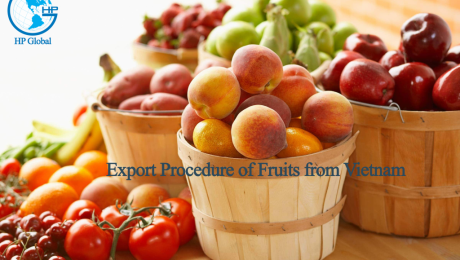 Export Procedure of Fruits from Vietnam