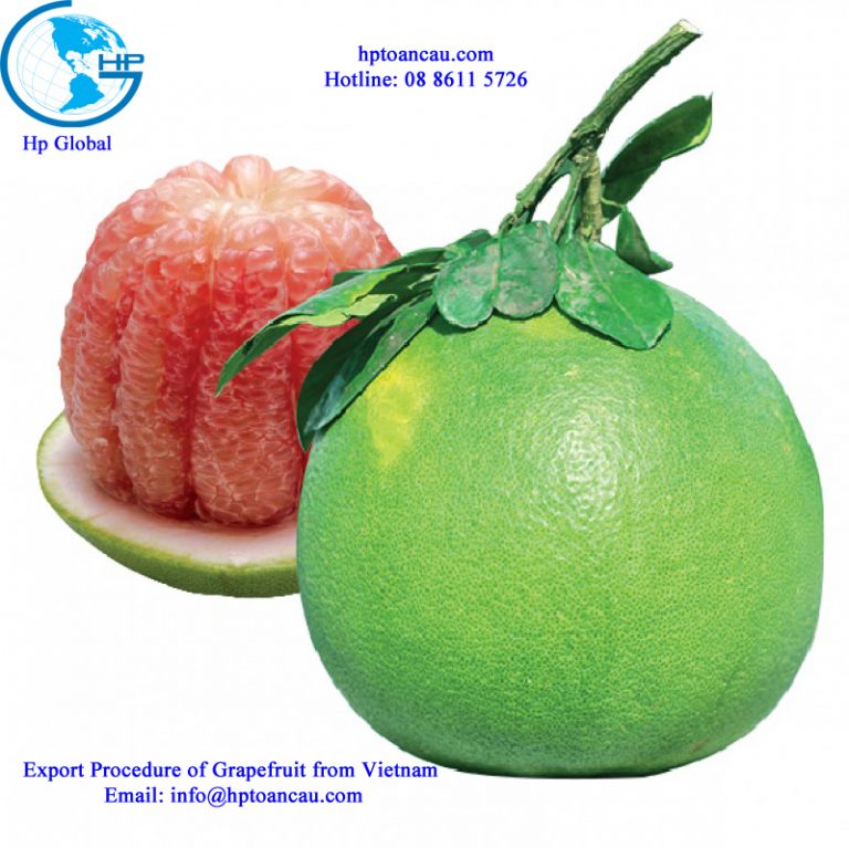 Freight and duty to export Grapefruit from Vietnam HP Global
