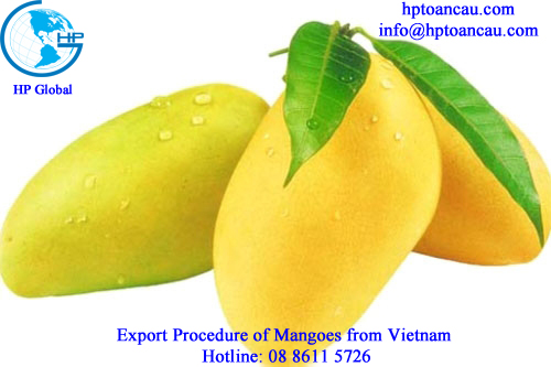Export Procedure of Mangoes from Vietnam 