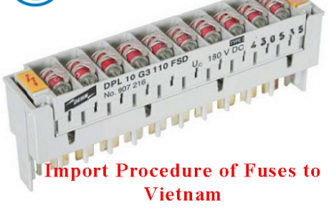 Import Procedure of Fuses to Vietnam