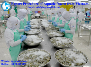 Export Procedure of Aquatic frozen from Vietnam