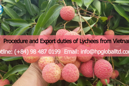 Procedure and Export duties of Lychees from Vietnam to Japan
