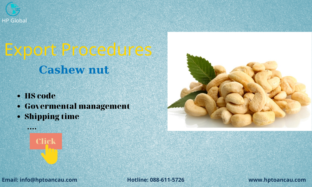 Freight and duty to export Cashew nut from Vietnam Logistics HP