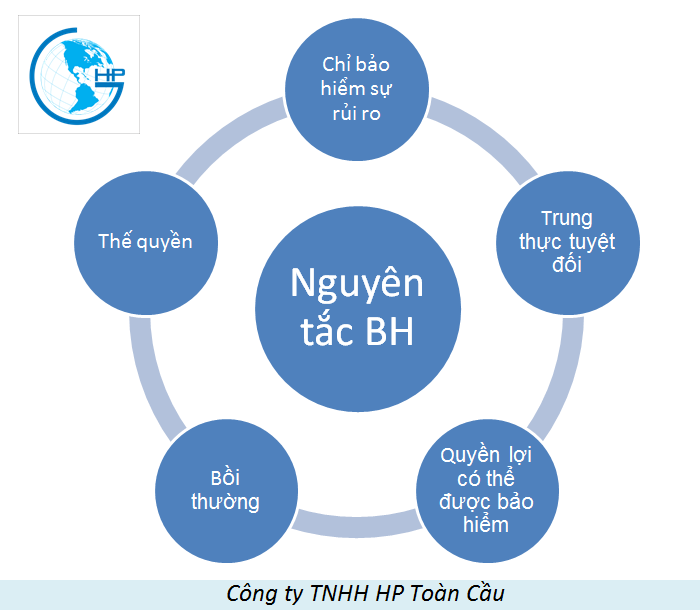 Bảo Hiểm Hàng Hóa Xuất Nhập Khẩu