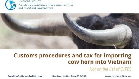 Customs procedures and tax for importing cow horn into Vietnam