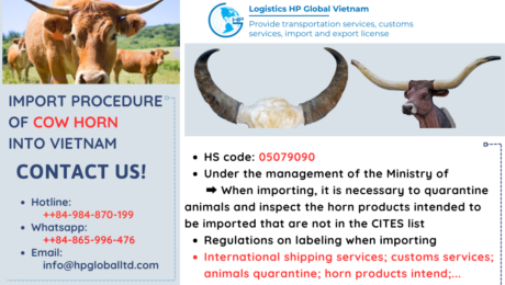 Import duty and procedures Cow horn Vietnam
