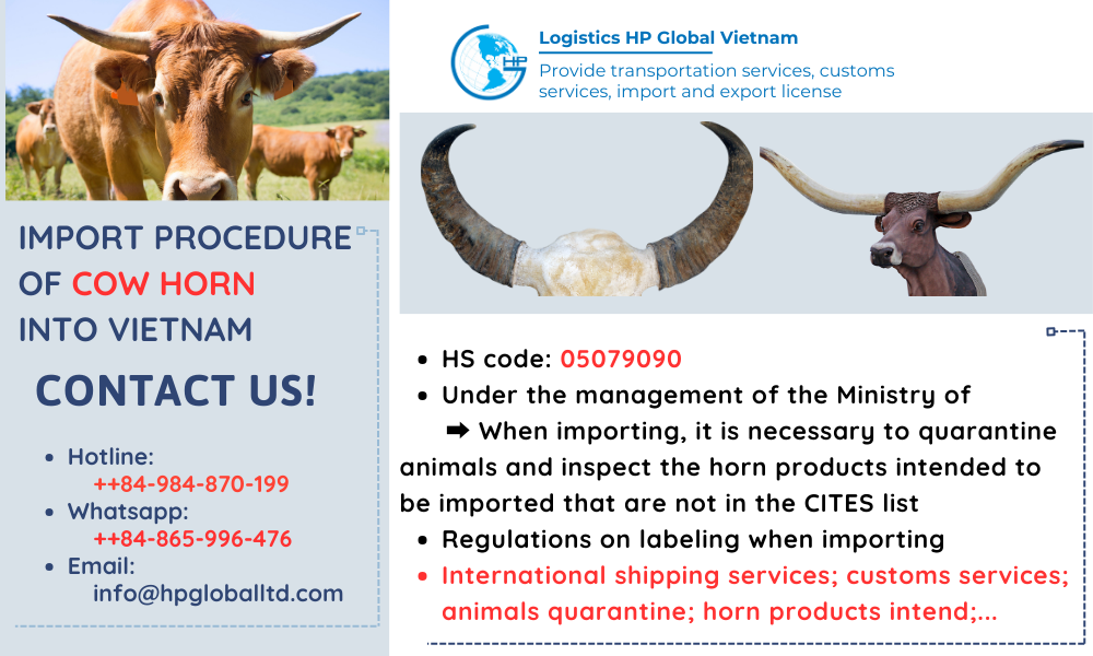 Import duty and procedures Cow horn Vietnam