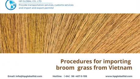 Procedures for importing broom grass from vietnam