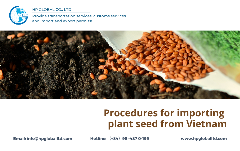 Procedures for exporting Plant seed from Vietnam