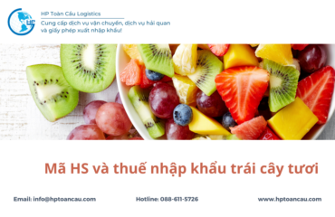 Mã HS và thuế nhập khẩu trái cây tươi