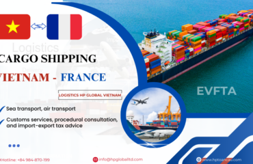 Cargo shipping Vietnam - France