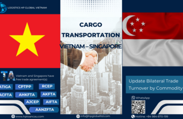 Cargo Transportation Vietnam - Singapore