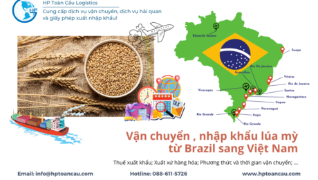Vận chuyển Lúa mì nhập khẩu từ Brazil