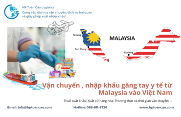 Vận chuyển , nhập khẩu găng tay y tế từ Malaysia vào Việt Nam