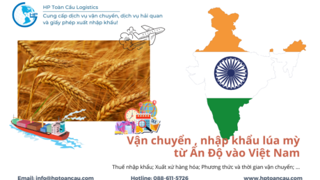 Vận chuyển , nhập khẩu lúa mì từ Ấn Độ vào Việt Nam