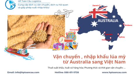 Vận chuyển , nhập khẩu lúa mỳ từ Australia sang Việt Nam