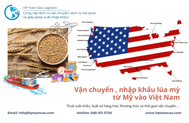 Vận chuyển nhập khẩu lúa mỳ từ Mỹ