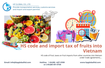 HS code and import duty of fruits into Vietnam