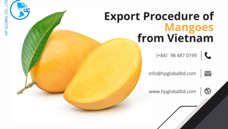 Procedures, duty and freight for exporting Mangoes from Vietnam