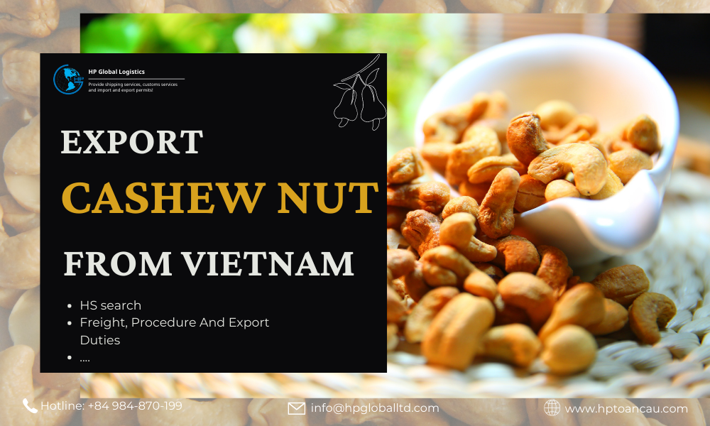 Export Cashew Nut From Vietnam