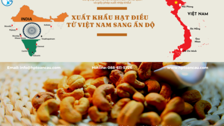 Vận chuyển hạt điều xuất khẩu từ Việt Nam sang Ấn Độ
