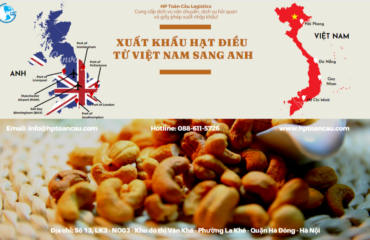 Vận chuyển Hạt điều xuất khẩu từ Việt Nam sang Anh