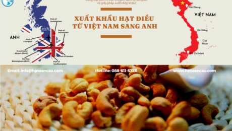 Vận chuyển Hạt điều xuất khẩu từ Việt Nam sang Anh