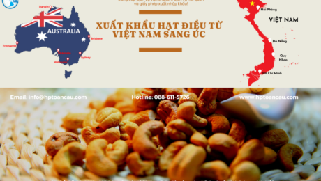 Vận chuyển Hạt điều xuất khẩu từ Việt Nam sang Úc
