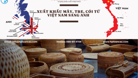 Vận chuyển Mây, tre, cói xuất khẩu từ Việt Nam sang Anh