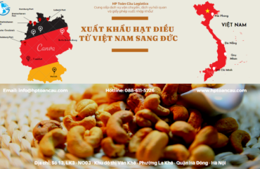 Vận chuyển Hạt điều xuất khẩu từ Việt Nam sang Đức