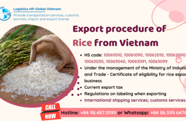 Procedures, duty and freight for exporting Rice from Vietnam