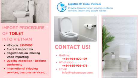 Import duty and procedures Toilet Vietnam
