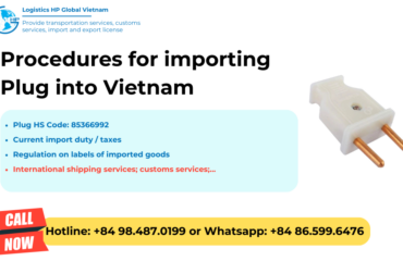 Import Plug into Vietnam